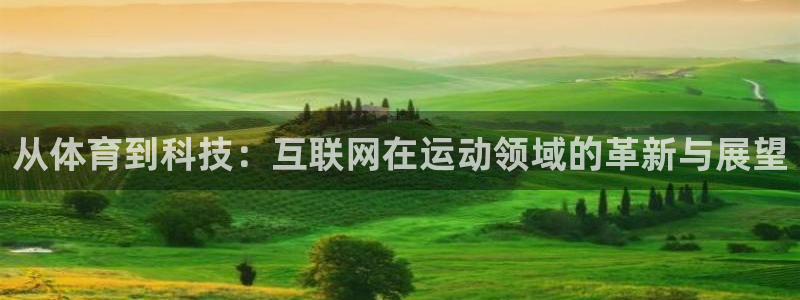 熊猫体育直播