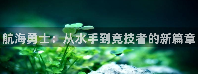 熊猫体育网站