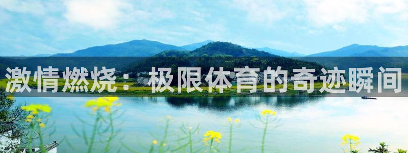 熊猫体育平台