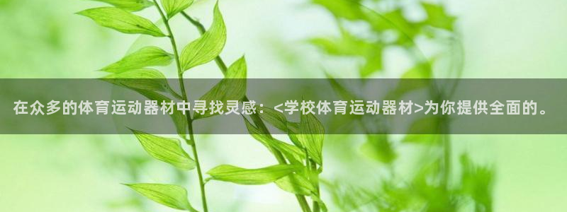 熊猫体育