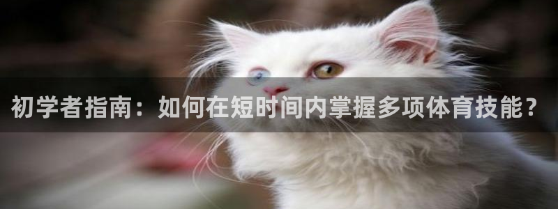 熊猫体育公园价格