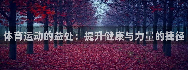 熊猫体育app官方入口